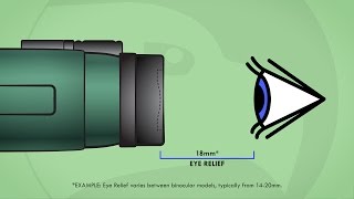 Understanding Binoculars Eye Relief [upl. by Nikolos]