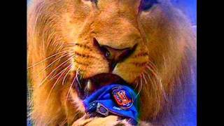 LEONES DEL CARACAS CAMPEONES [upl. by Kela]