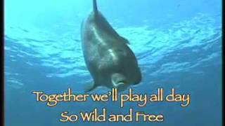 Dolphin Song with Lyrics [upl. by Marika]