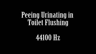 Man Peeing Urinating in Toilet Sound Effect Free HQ High Quality Sound FX [upl. by Ridglee]