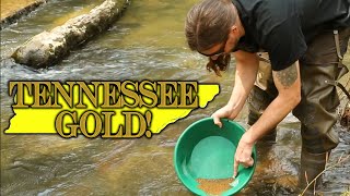 Tennessee Gold Mining Gold Prospecting in Tennessee [upl. by Llemej]