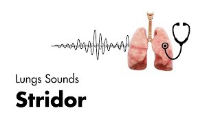 Stridor  Lung Sounds  MEDZCOOL [upl. by Ynohtnacram]