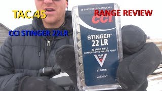 CCI STINGER 22LR AMMUNITION REVIEW [upl. by Ahsinit]