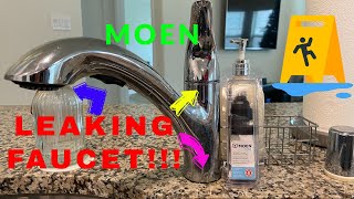 How to Change Moen Kitchen Faucet Cartridge [upl. by Gautious]