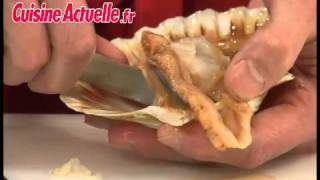 Comment ouvrir une coquille SaintJacques  Astuce Cuisine [upl. by Abbotsun331]