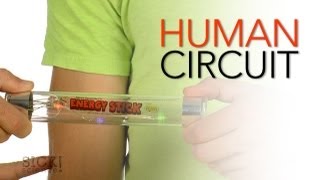 Human Circuit  Sick Science 154 [upl. by Neelyar]