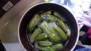 Easy and Delicious Fermented Sweet Pickle Recipe [upl. by Alyag172]