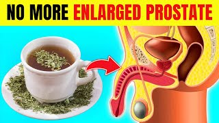 8 Best HERBS To Treat Enlarged Prostate BPH [upl. by Vance]