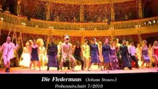 DIE FLEDERMAUS Operette von Johann Strauss [upl. by Ettenhoj415]