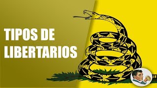 Tipos y Diferencias de Liberales y Libertarios [upl. by Delly]