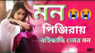 Mon Pinjirai  মন পিন্জিরা  Rakib Musabbir  Official Music Video  Bangla Song 2022 [upl. by Muslim908]