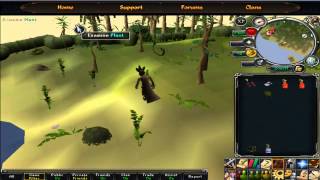 Runescape How to catch shadow jadinkos [upl. by Bowra]