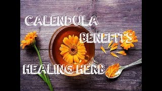 9 Amazing Health Benefits of Calendula [upl. by Pul16]