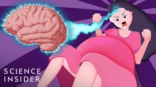 How Giving Birth Changes Your Brain [upl. by Halilad717]