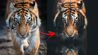 How to Turn Photography into Fine Art in Photoshop [upl. by Graybill36]