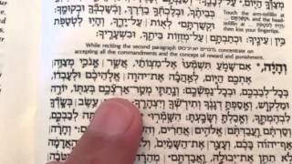 Hebrew Reading Practice Shema second paragraph [upl. by Rosemonde]