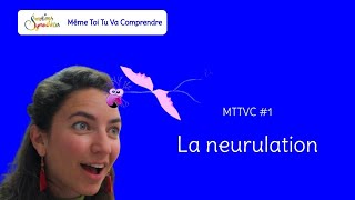 La neurulation MTTVC 1 [upl. by Asseret]