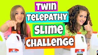 Twin Telepathy Slime Challenge [upl. by Ennayhs]