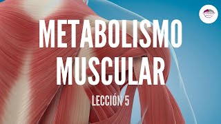 5 METABOLISMO MUSCULAR FISIOLOGÍA MUSCULAR [upl. by Henrique]