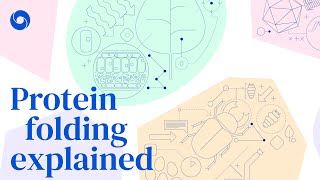 Protein folding explained [upl. by Kelcey]