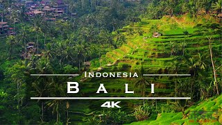 Bali Indonesia 🇮🇩  by drone 4K [upl. by Em]