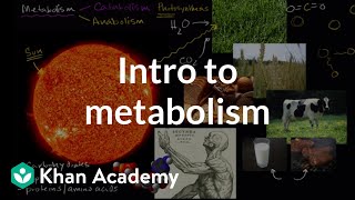 Introduction to metabolism anabolism and catabolism  Khan Academy [upl. by Ardenia]