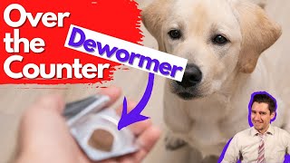 Over the Counter Dog Dewormer Dr Dan talks dewormers [upl. by Witcher]