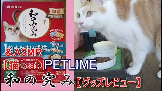 【猫・cat】PETLINE 和の究み【グッズレビュー】＆ASMR [upl. by Nisa765]