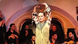 Flamenco Night at Tablao Cordobes in Barcelona Spain [upl. by Aserehc656]