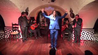 El Yiyo en Tablao Flamenco Cordobes Barcelona [upl. by Elag]