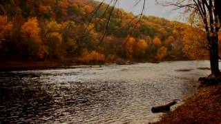 SHENANDOAHTraditional American Folk Song Performed by Tom Roush [upl. by Schoof945]