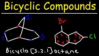 Naming Bicyclic Compounds [upl. by Daniels885]