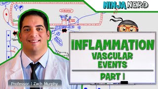 Immunology  Inflammation Vascular Events Part 1 [upl. by Natka]