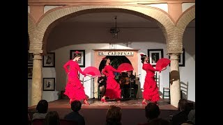 🇪🇸 Spanish Flamenco Dance Instrumental  Flamenco chill out 🇪🇸 [upl. by Vince933]