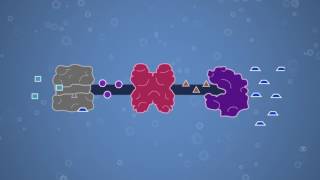 Enzymes Feedback Inhibition and Allosteric Regulation [upl. by Eniwtna]