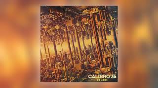 Calibro 35  Polymeri Audio [upl. by Mosa]