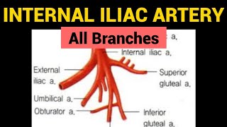 Sacroiliac Joint Pain Diagnosis and Treatments [upl. by Maiah]