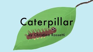 Caterpillar by Christina Rossetti  A Childrens Poem [upl. by Burck235]