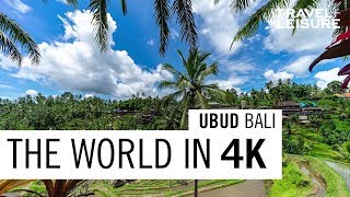 Ubud Bali  The World in 4K  Travel  Leisure [upl. by Naivad385]