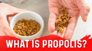 The Unique Benefits of Propolis Bee Glue – DrBerg [upl. by Bolger366]