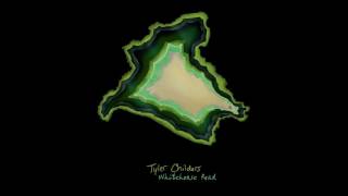 Tyler Childers  Whitehouse Road Official Audio [upl. by Fry]