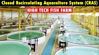 Closed Recirculating Aquaculture System CRAS  RAS Fish Farming  Modern Fish Farming Technology [upl. by Geehan]