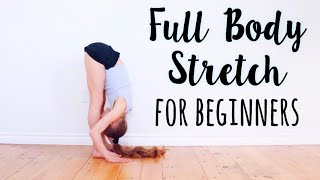 Beginner Stretches for Flexibility [upl. by Bernelle]