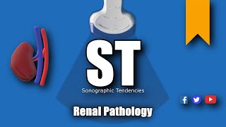 Renal Pathology [upl. by Zeuqram464]