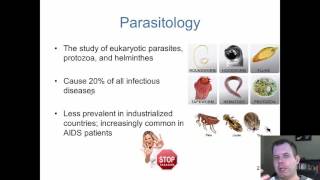 Chapter 23  The Parasites of Medical Importance [upl. by Konstance]