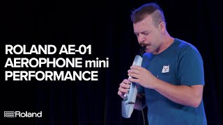 Roland AE01 Aerophone mini Performance and Sounds [upl. by Sioled]