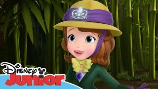 Sofia the First  Stronger Than You Know  Official Disney Junior Africa [upl. by Flanigan475]