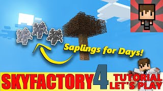 SKYFACTORY 4  EP03  CLAY SAPLING BONE SAPLING amp GRAVEL SAPLINGS HELPTUTORIAL [upl. by Pierro266]