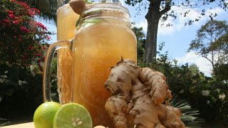 Jamaican Tamarind Drink Easy To Make [upl. by Nnylyma]