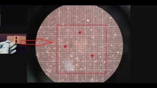 Hemocytometer  Counting of cells  Amrita University [upl. by Hekking]